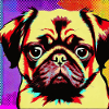Mops Pop Art