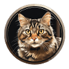 American Bobtail Cat
