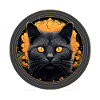 Chat Chartreux