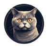 British Shorthair Cat