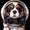 King Charles Cavalier Astronaut