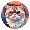 Exotic Shorthair Cat