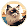 Himalayan cat