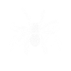 Tarantula Sling Squad
