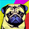 Pug Pop Art