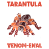 Vogelspinne Tarantula Maman