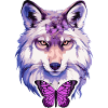 Loup #2