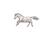 Horses Love