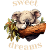 Sweet Dreams Koala