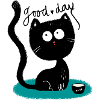 Little Black Kitten