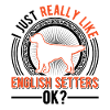English Setter Englischer Setter