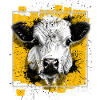 Vache