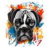 Boxer Dog