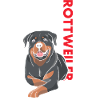 Rottweiler Us Flag