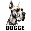 Dogge