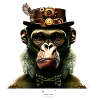 Seppl Ape