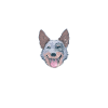 Australian Cattle Dog Father