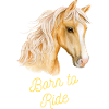 Reiten Pferde Geschenk