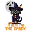 Halloween Cat