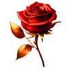 Rose rouge dorée