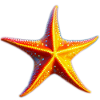 Starfish