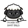 Sheep are rolling