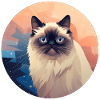 Himalayan cat