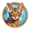 Chat Ocicat