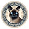 Siamese cat