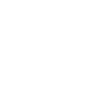 Viken