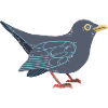 Blackbird