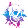 Skull Skull