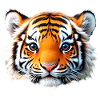 Tiger Baby Head