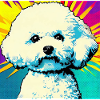 Bichon Frisé Pop art