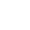 T-Shirt "Veni vidi violini"