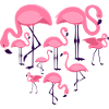 Herz Flamingo