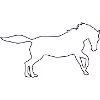 horse