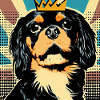 King charles Spaniel