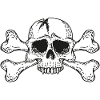 skull with bones