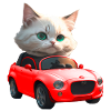 Cat drives convertible