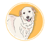 Pyrenäenberghund Hunde Hundebesitzer Geschenk