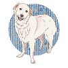 Pyrenäenberghund Hunde | Hundebesitzer Geschenk