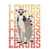 Lemur Ringed Tail Lemur Gift