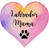Labrador Mama
