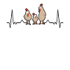 Chickens Heartbeat Chicken Farmer