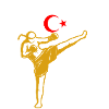Muay Thai türkiye gold