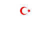Muay Thai türkiye flag