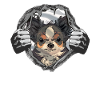 Dog Chihuahua Dog Owner Gechenkidee