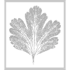 Leaf - gooseberry with frame