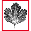 Sheet in frame